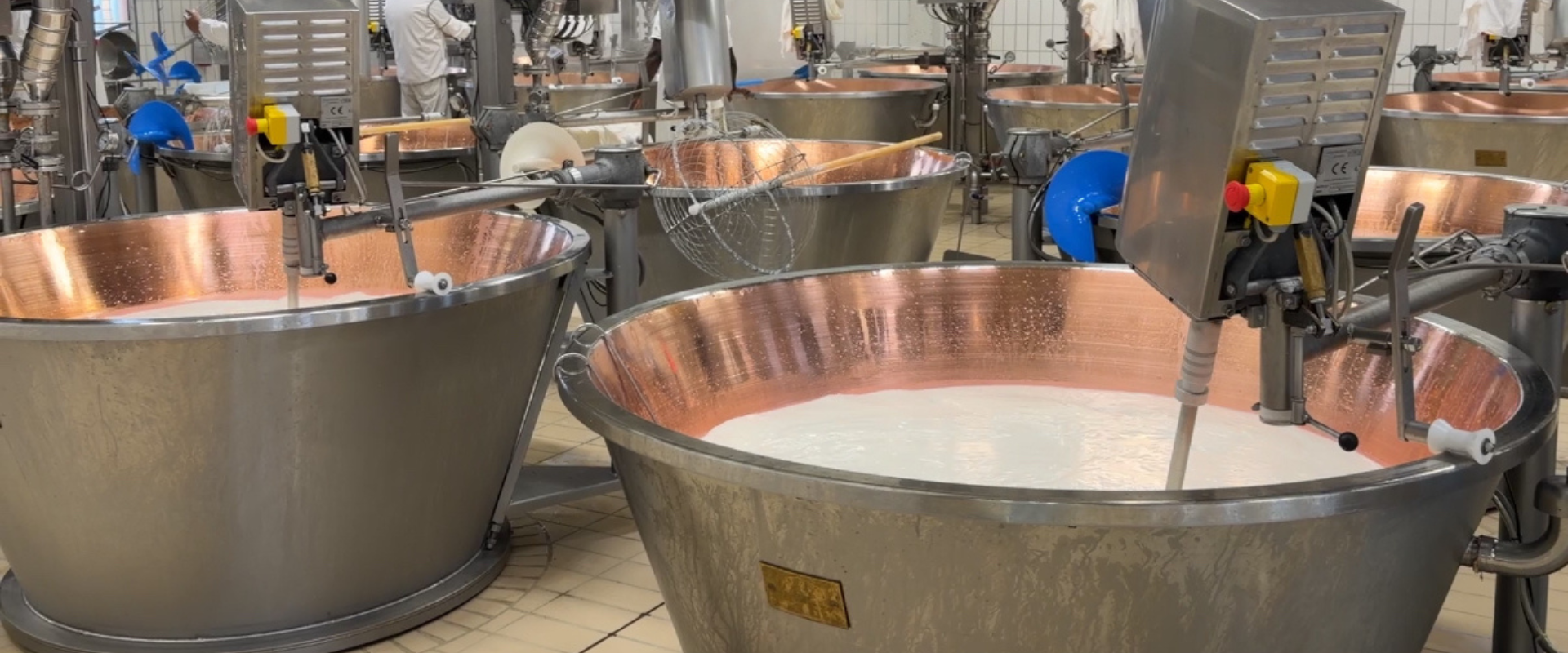 Progettazione e Realizzazione di impianti specializzati per la lavorazione del latte